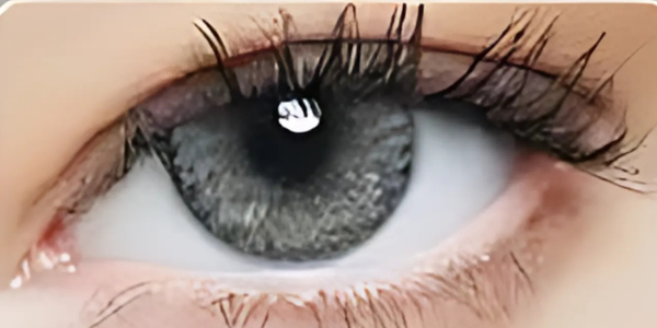 Eye Dia Conventional - Ocean Grey
