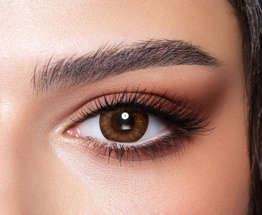 Bella One Day Almond Brown