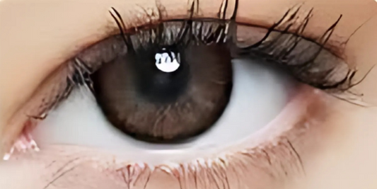 Eye Dia Conventional - Brown Shadow