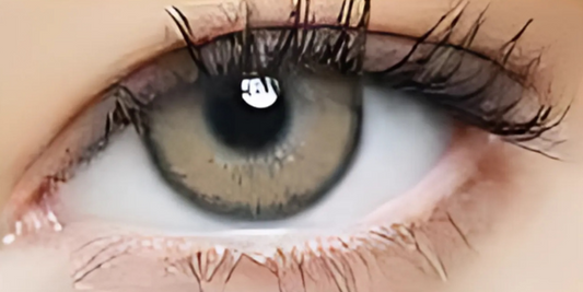 Eye Dia Conventional - Caramel