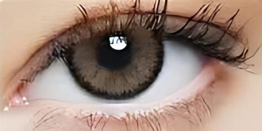 Eye Dia Conventional - Choco