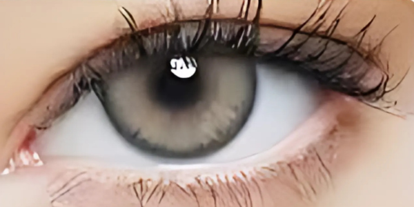 Eye Dia Conventional - Cool Grey