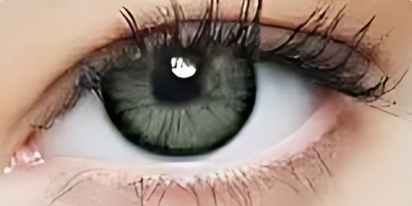 Eye Dia Conventional - Grey Green