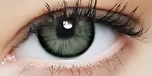 Eye Dia Conventional - Grey Green