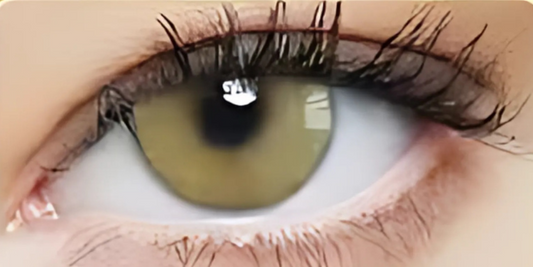 Eye Dia Conventional - Ocre Gold