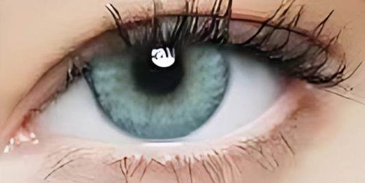 Eye Dia Conventional - S. Blue