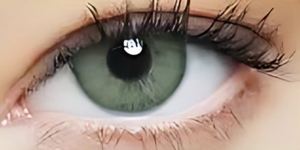 Eye Dia Conventional - Wild Green