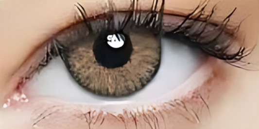Eye Dia Conventional - Wild Honey