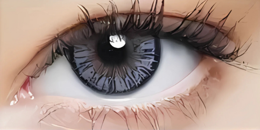 Eye Dia Partywear - Attractive Grey