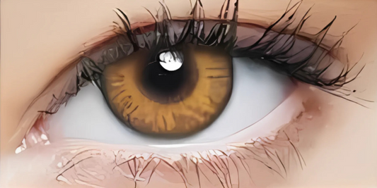 Eye Dia Partywear - Brown