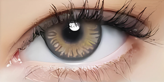 Eye Dia Partywear Dazzling Grey