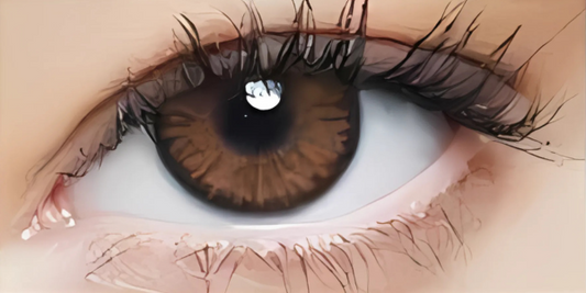 Eye Dia Partywear Dazzling Hazel