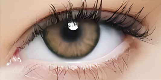 Eye Dia Partywear Hazel