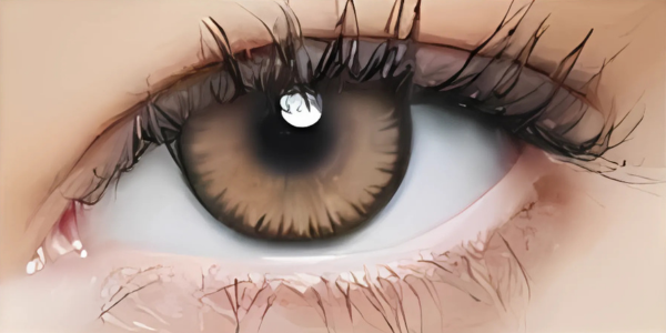 Eye Dia Partywear Snowy Brown