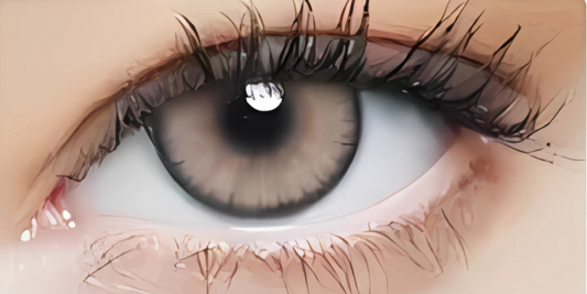 Eye Dia Partywear Snowy Grey